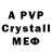 APVP VHQ Morgan Zachlfich